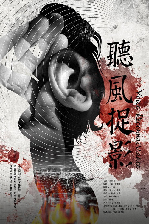 Movie poster for Voice Reconnaissance (2016)