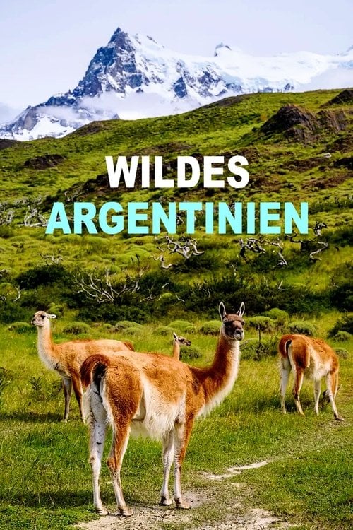 Series poster for Wild Argentina: Extreme Earth (2020)