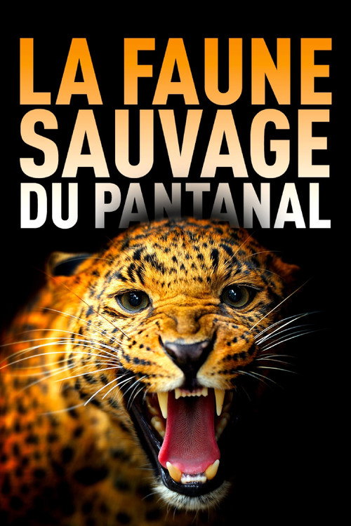 Movie poster for Among Big Cats and Anteaters - With Lydia Möcklinghoff in Brazil's wildlife (2021)
