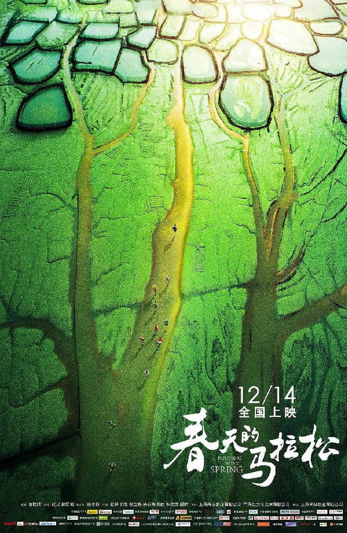 Movie poster for 春天的马拉松 (2018)