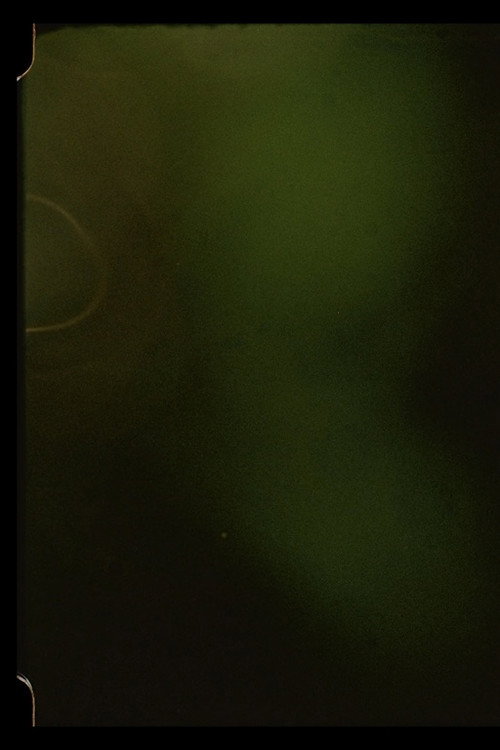 Movie poster for Summer Light For Tula (2021)