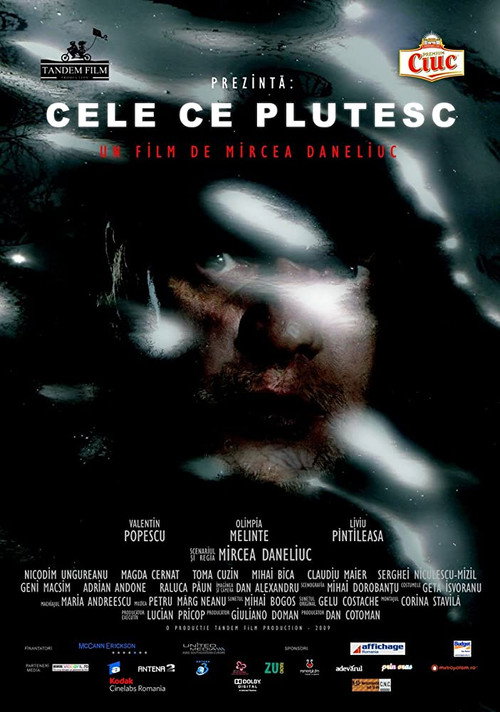 Movie poster for Floating Things (2009)
