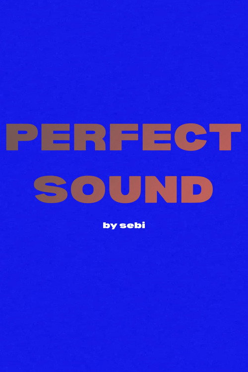 Movie poster for Perfect Sound (2025)