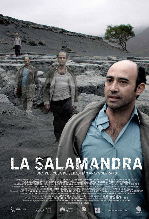 Movie poster for La salamandra (2018)