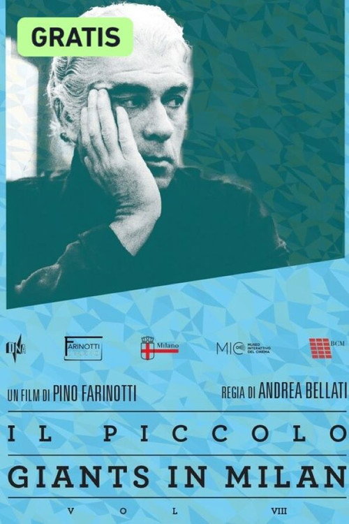 Movie poster for Il piccolo - Giants in Milan - Vol. VIII (2016)