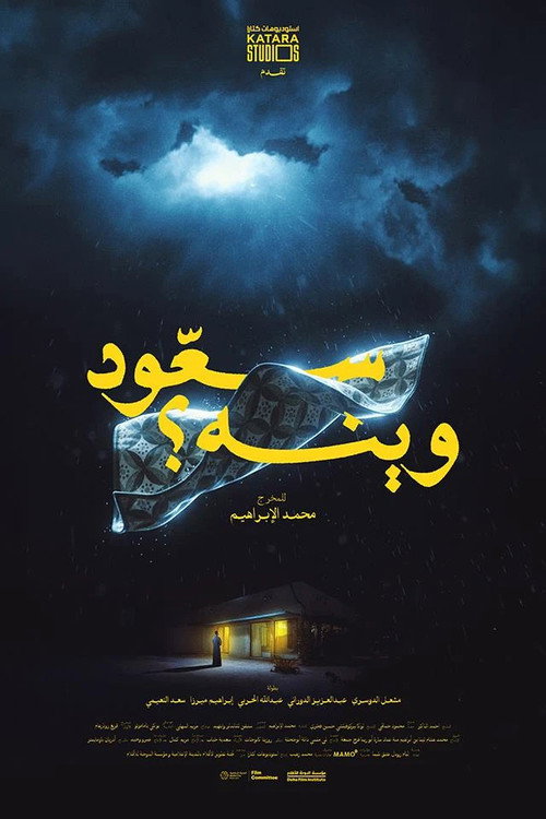 Movie poster for Where is Saoud? (2025)