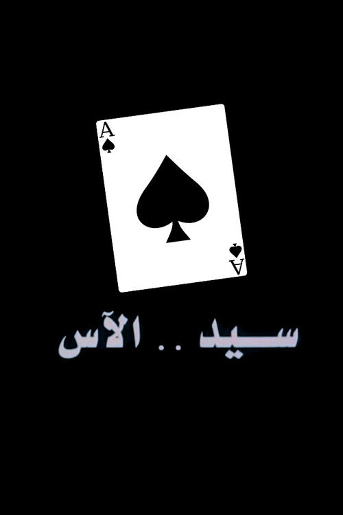 Movie poster for Sayed The Ace (2008)