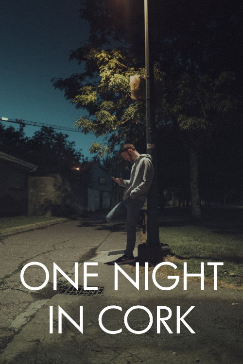 Movie poster for One Night in Cork (2021)