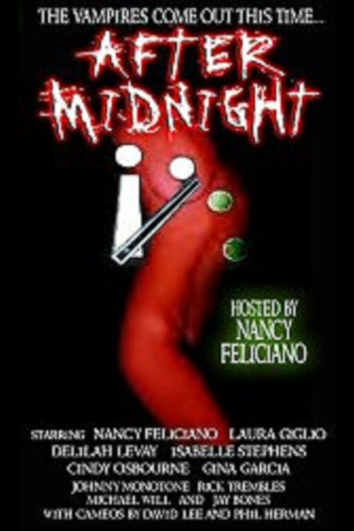 Movie poster for After Midnight (2005)