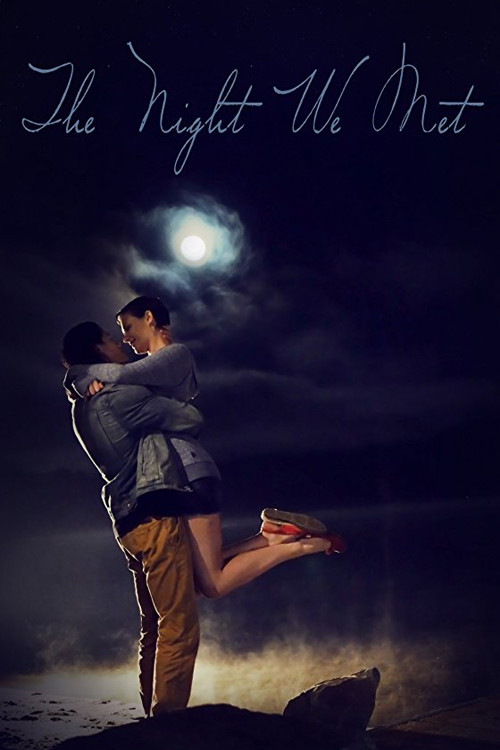 Movie poster for The Night We Met (2016)