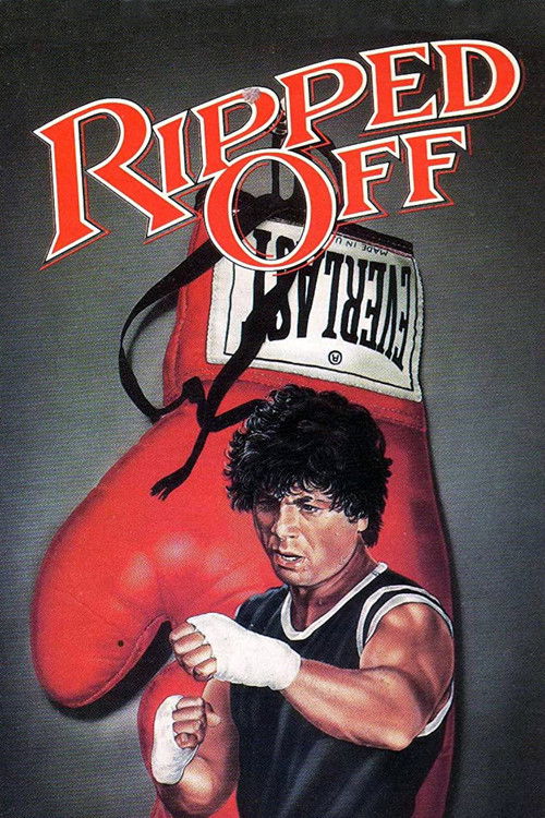 Movie poster for The Boxer (1972)