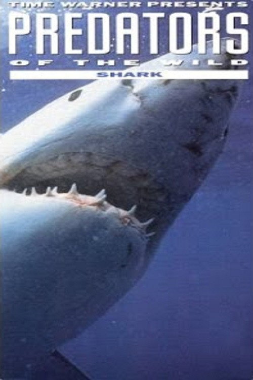 Movie poster for Predators of the Wild: Shark (1992)