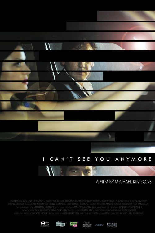 Movie poster for I Can't See You Anymore (2012)