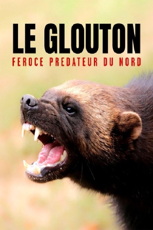 Movie poster for The Wolverine: Fierce Predator of the North (2021)