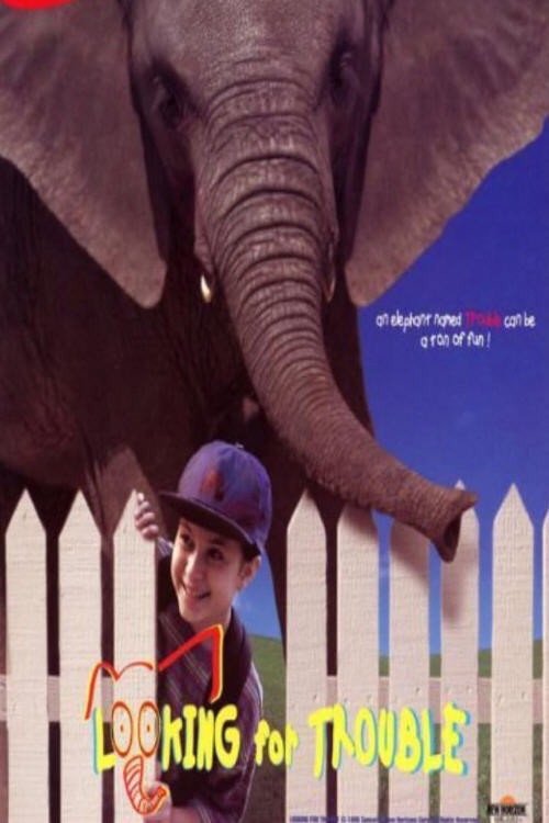 Movie poster for Looking for Trouble (1996)
