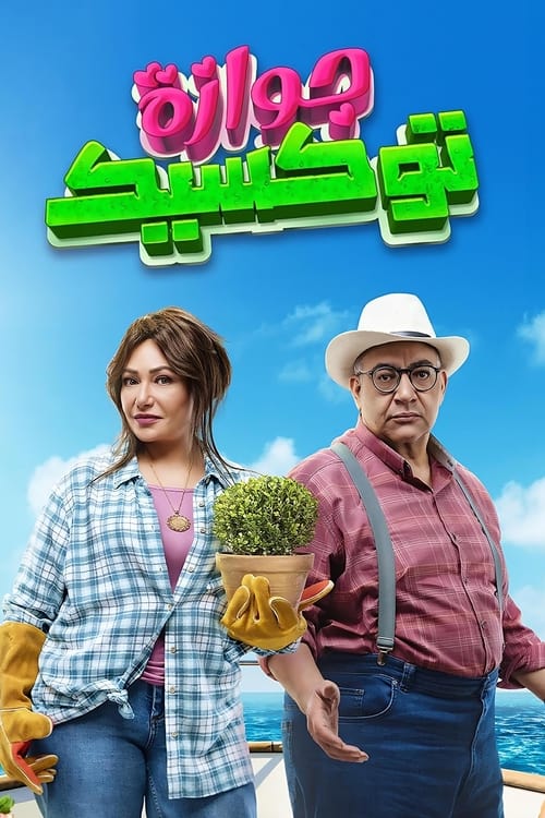 Movie poster for A Toxic Marriage (2024)