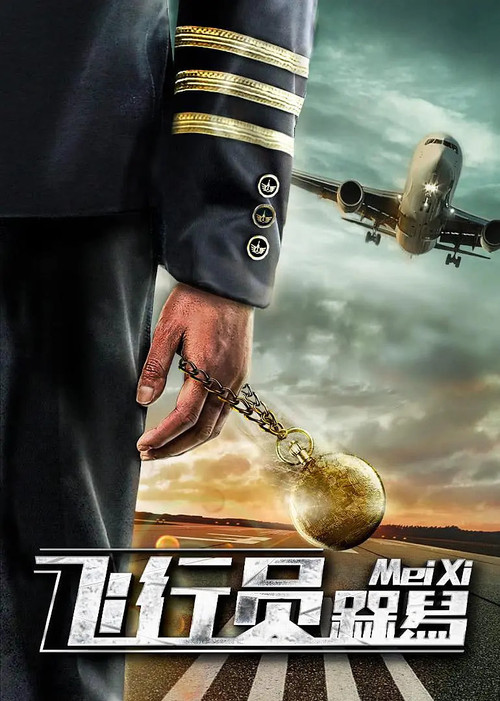 Movie poster for DaiDai Bird (2019)
