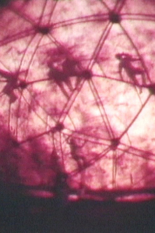 Movie poster for 7th Annual New York Avant Garde Festival (1969)