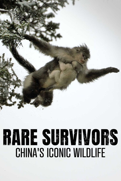 Movie poster for Rare Survivors: China's Iconic Wildlife (2021)