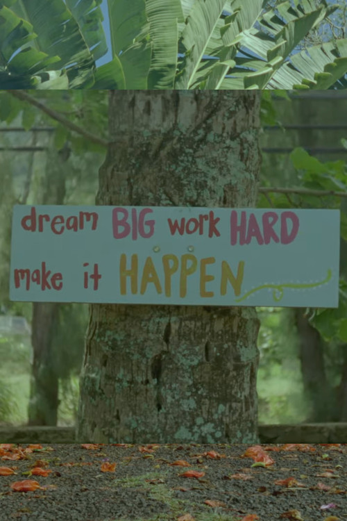 Movie poster for Dream Big, Work Hard, Make It Happen (2022)