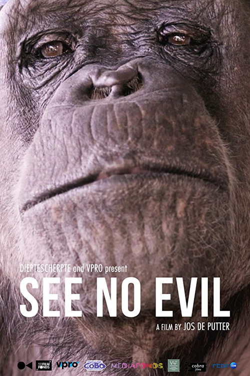 Movie poster for See No Evil (2014)