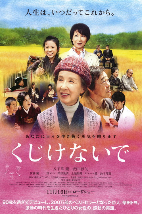Movie poster for Don't Lose Heart (2013)