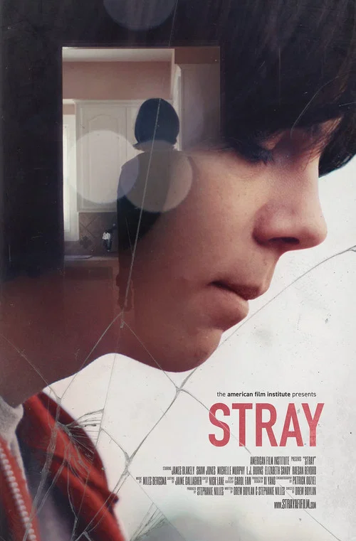 Movie poster for Stray (2017)