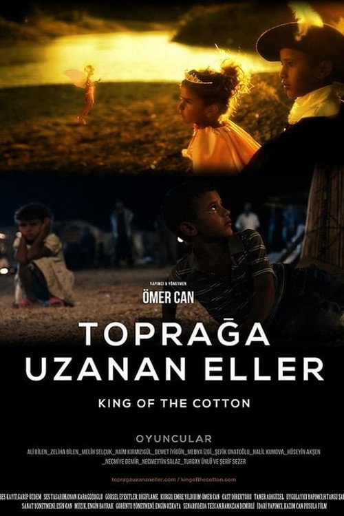 Movie poster for King of the Cotton (2014)