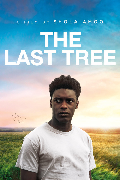 Movie poster for The Last Tree (2019)
