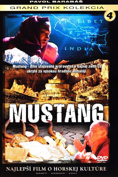 Movie poster for Mustang (2001)