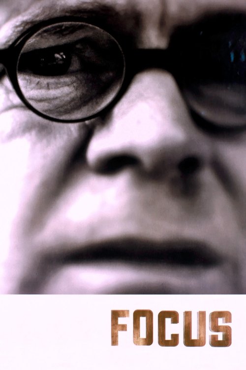 Movie poster for Focus (2001)
