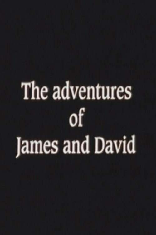 Movie poster for The Adventures of James and David (1997)