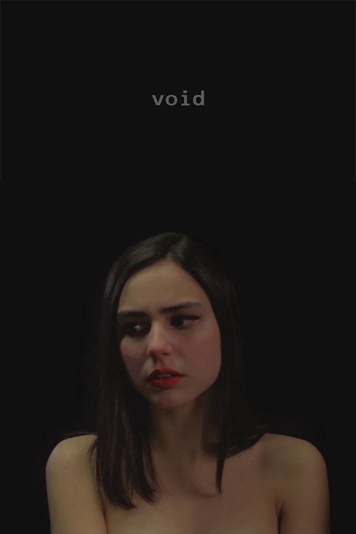 Movie poster for Void (2017)
