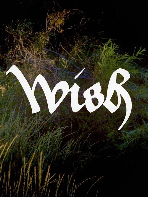 Movie poster for Wish (2021)