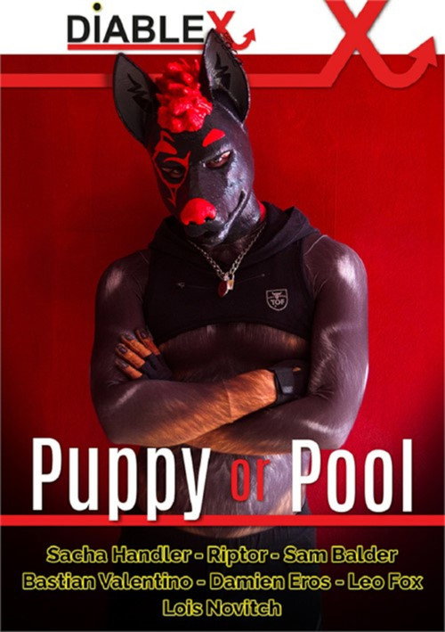 Movie poster for Puppy or Pool (2024)
