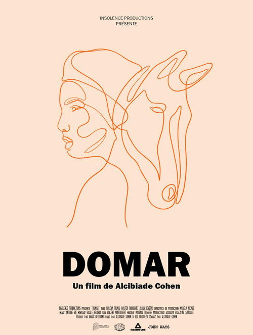 Movie poster for Domar (2022)