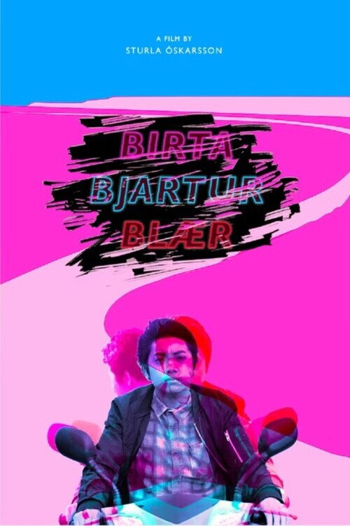Movie poster for Birta Bjartur Blær (2017)