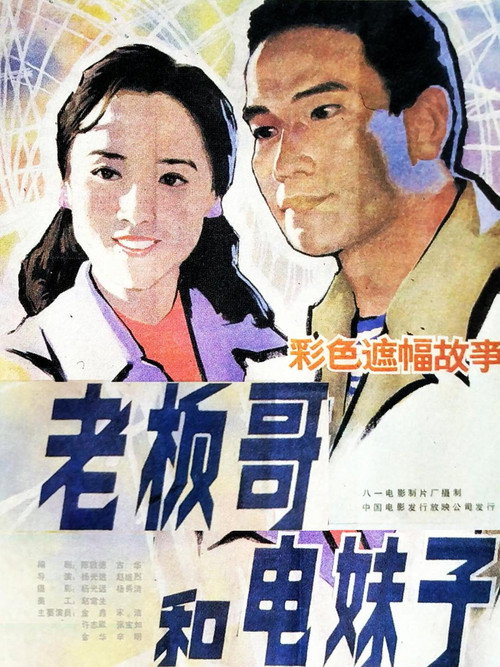 Movie poster for Brother Boss and Sister Electrician (1984)
