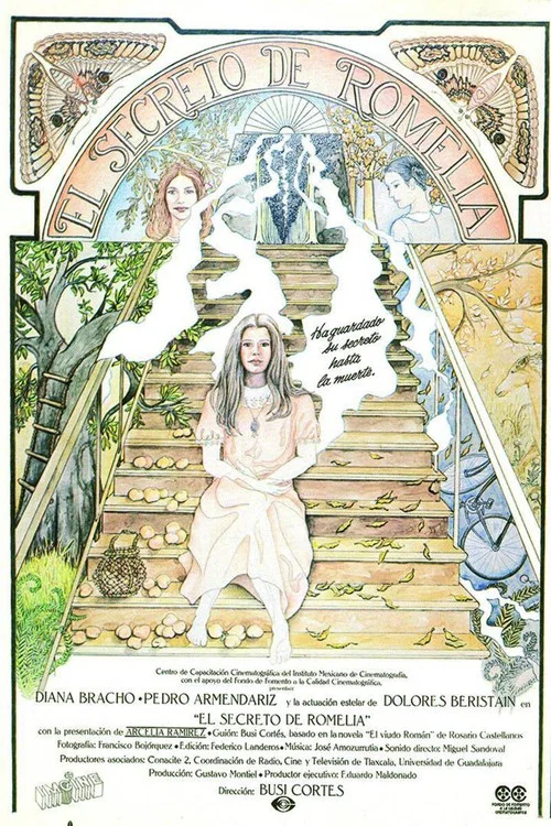 Movie poster for Romelia's Secret (1988)