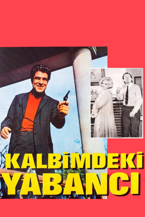 Movie poster for Kalbimdeki Yabancı (1968)
