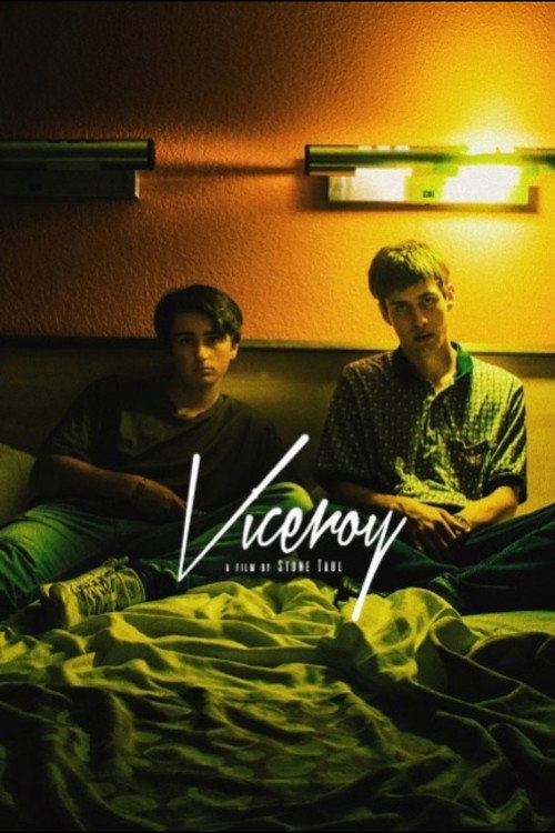 Movie poster for Viceroy (2017)