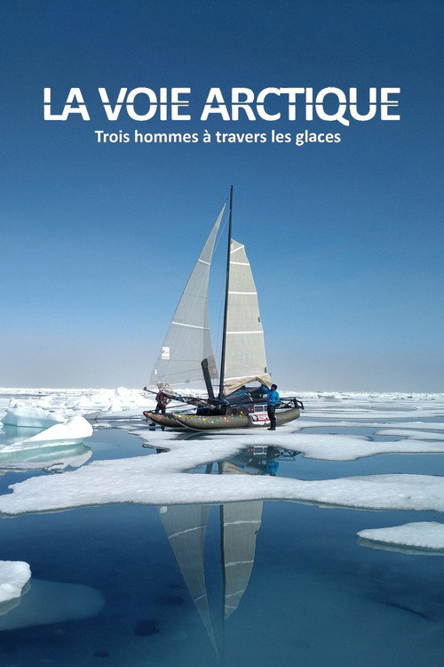 Movie poster for La Voie arctique - Trois hommes à travers les glaces (2020)