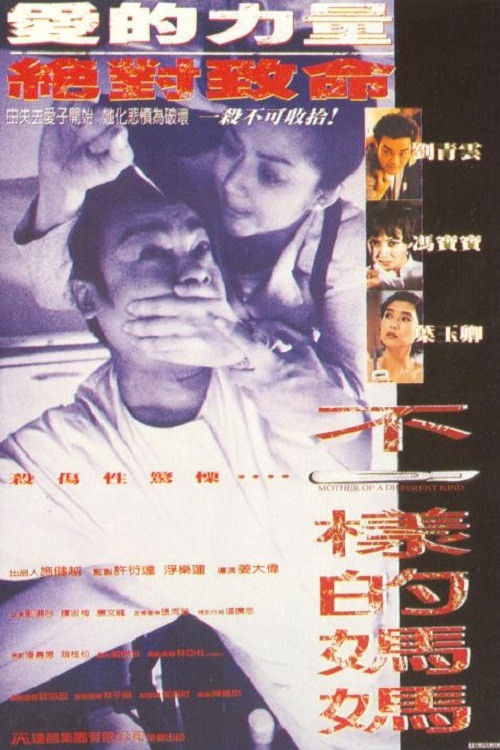 Movie poster for Mother of a Different Kind (1995)