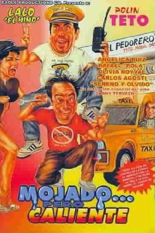 Movie poster for Mojado... pero caliente (1989)