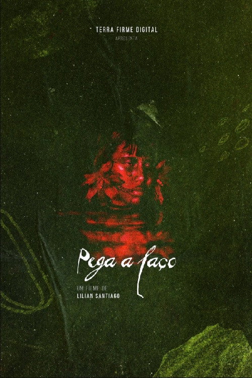 Movie poster for Pega a Laço