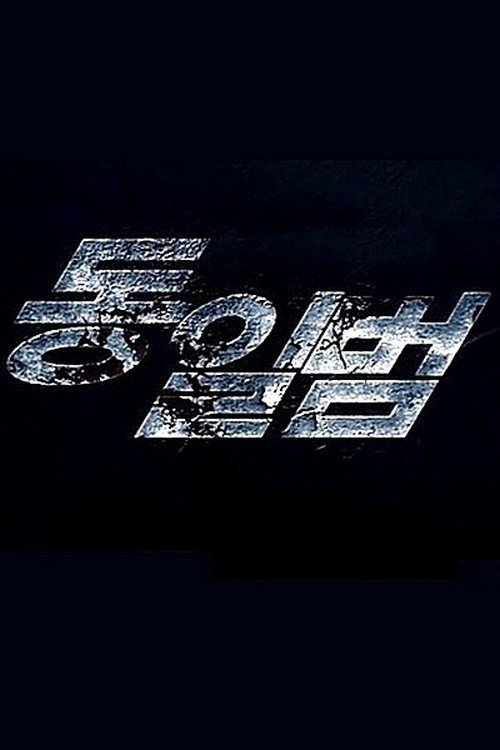 Movie poster for Identical Criminals (2011)