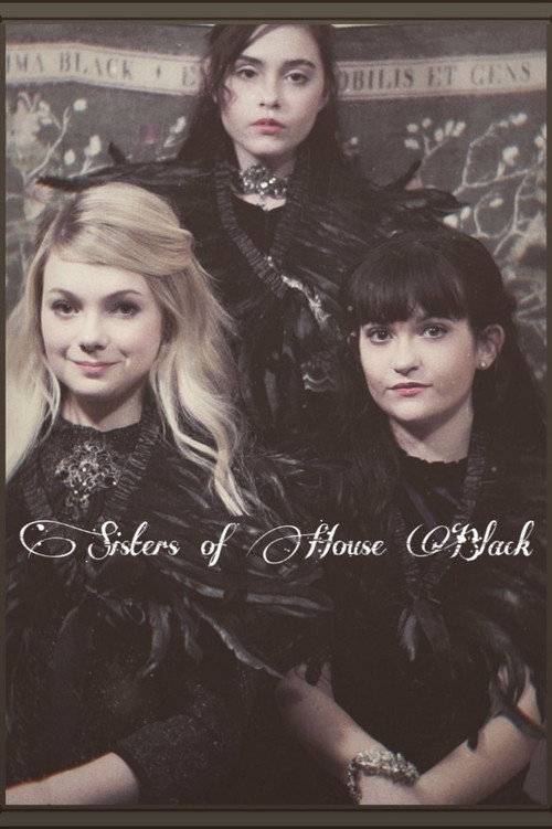Movie poster for Sisters of House Black (2019)