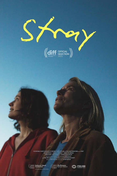 Movie poster for Stray (2025)