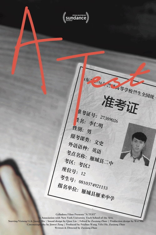 Movie poster for A Test (2016)