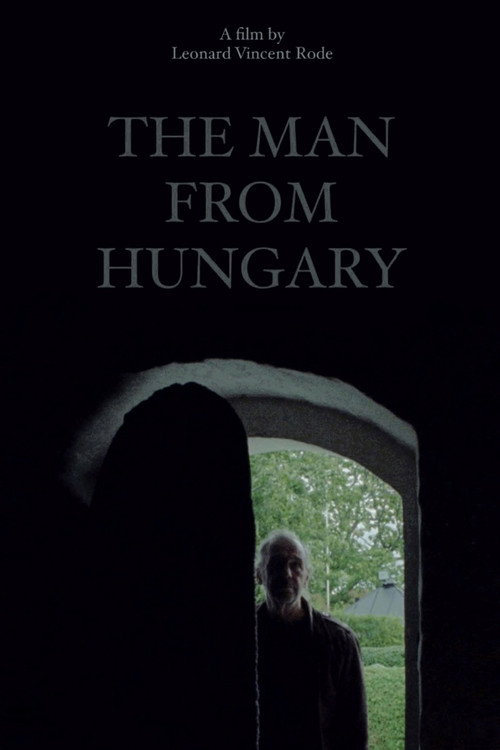 Movie poster for The Man from Hungary
